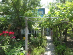 Vila Casa de Vacanta Ana - Sulina (Delta Dunarii, judetul Tulcea)